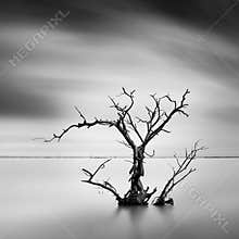Sad And Beautiful World
