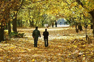Walking couple in the park in autumn