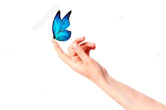 Butterfly on woman's hand. In motion