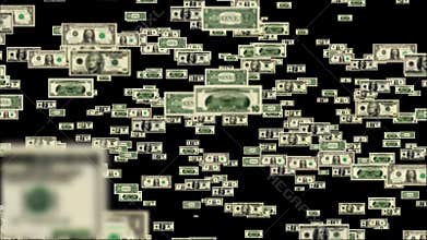 USD flying and forming Buy Now Words, stock footage