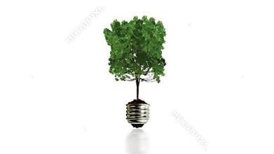 Tree growing from am old bulb with ground reflection,green energy concept,Alpha , stock footage