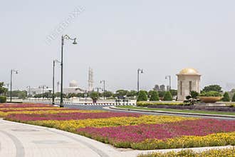Flowerbeds in Dubai