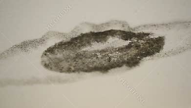 Hand with mold of water damaged ceiling