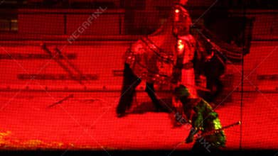 Video of Medieval Times tournament