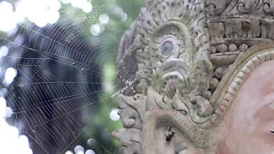 Poisonous yellow black banana spider on spider web Chiang Mai Thailand