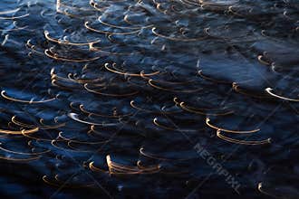Abstract ice background, taken at dawn, with a long exposure