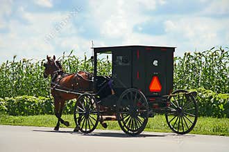 Amish carriage