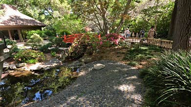 footage of an arched orange bridge over a river, lush green trees and flowers at Descanso Gardens La Canada Flintridge California