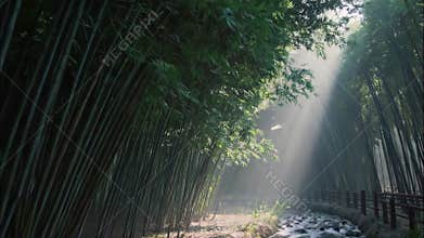 Serene Eastern Garden