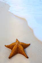 Art starfish on a beach sand with wave