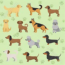 Cute Cartoon Dog Breeds Collection on Green Background with Paw Prints