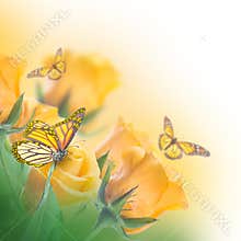 Bouquet of yellow roses