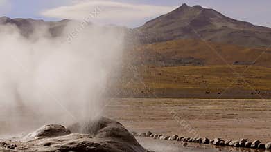 Erupting geyser in El Tatio Geyser valley, 4320 meters above sea level. One of the major tourist attractions in Chile.
