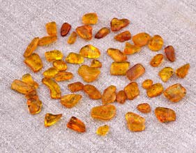 Baltic Amber Stones.