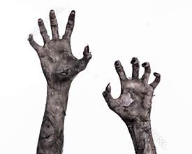 Black hand of death, the walking dead, zombie theme, halloween theme, zombie hands, white background, mummy hands