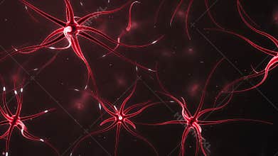 Neurons forming a neural network