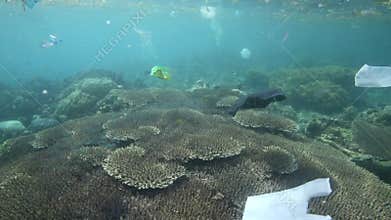 Plastic bags and other garbage floating underwater
