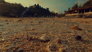 Low Angle View of Tropical Beach Sand and Shells