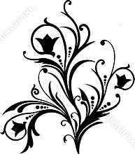 Scroll, cartouche, decor, vector