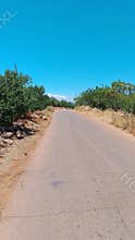 Empty rural road with trees and blue sky, countryside landscape, summer day