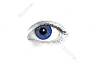 Blue eye