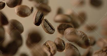 Coffee beans are falling close-up