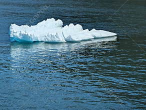 Close-up photo of a Glacier Ice on the waters