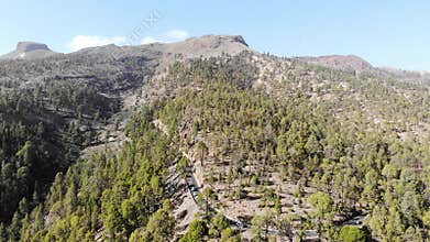 Drone view of pine forests in Las Lajas, Tenerife, Canary Islands, Spain