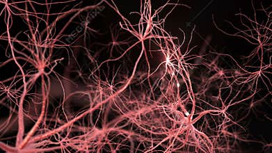 Neurone synapse network. Flight through brain. 3D animation.