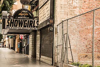 Showgirls Hollywood Strip Club