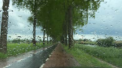 Rural Amsterdam, Tree-lined rural road seen through rain-speckled windshield