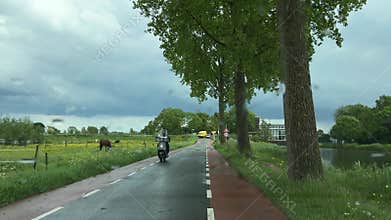 Rural Amsterdam, Motorcycle approaching on wet Dutch country road between