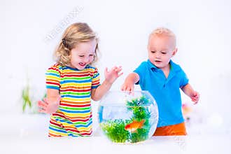 Kids watching fish bowl