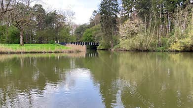Amsterdan Forest, Calm riverscape with reeds, grassy banks, reflective water