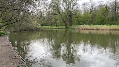 Amsterdan Forest, serene pond reflections in park-like setting with trees and
