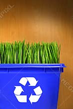 Blue recycle bin with grass inside