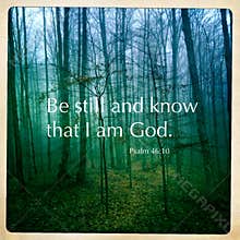 Psalm Scripture Quote
