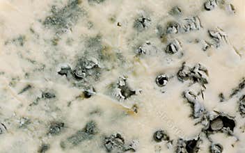 Blue cheese texture