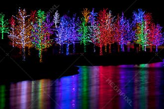 Trees wrapped in LED lights for Christmas