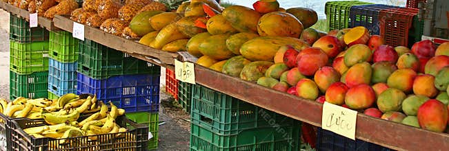 Tropical fruit