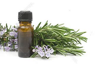 Rosemary essential oil