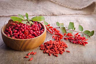 Barberry with leaves and dry goji berries