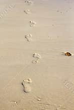 Foot steps on beach