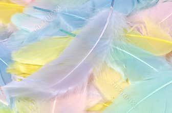 Pastel Feathers 2