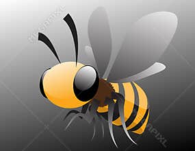 Honey bee