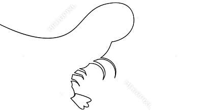 Shrimp icon one line art seamless loop minimal design animation