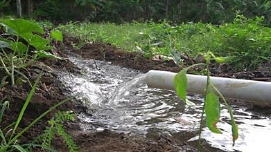 Very clear and fast flowing water comes out of the PVC pipe