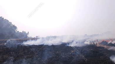 Stubble Burning in India Parali Burning Smoke Pollution, Air Pollution Agriculture Field.