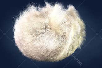 Furry White Egg