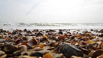 Waves Lapping the shore